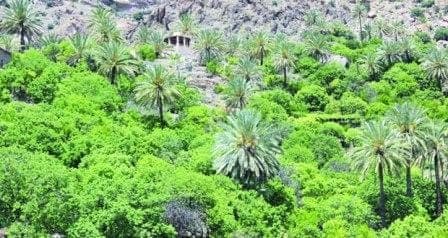 تعرف على "السياحة الخضراء" فى سلطنة عمان