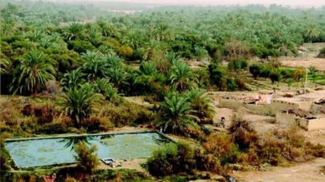 واحة سيوه في مصر | مجلة السياحة العربية
