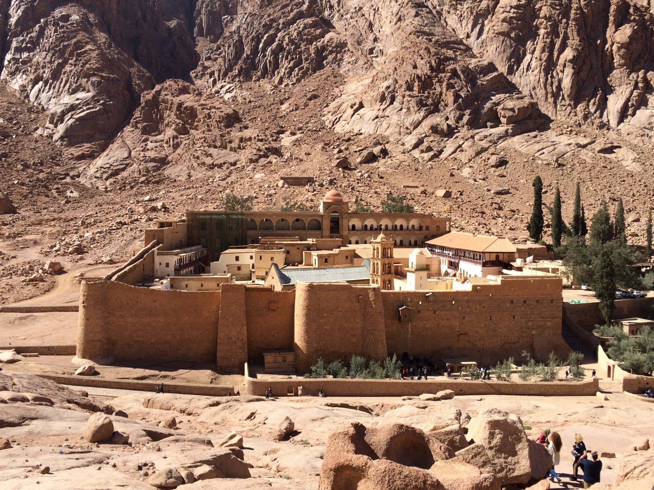 الغابات المتحجرة والمحميات الطبيعية.. وجهة السياحة البيئية في مصر