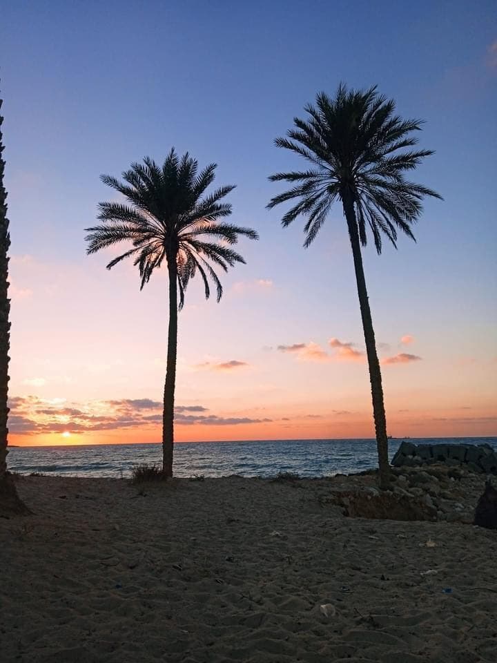 مصر.. إقبال كبير على السياحة في العريش والمناظر الطبيعية تجذب الزوار (صور)
