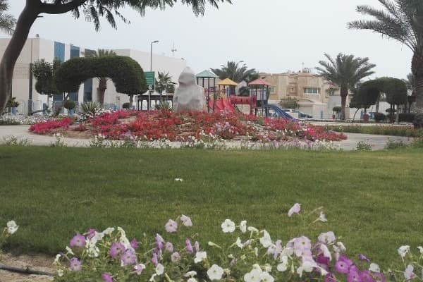 أفضل الأنشطة في حديقة الورود بالخبر السعودية