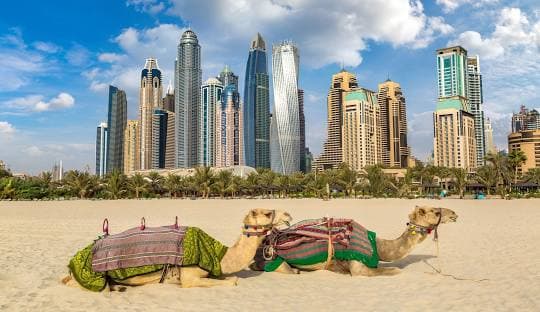 قطاع السياحة في الإمارات ينمو ويُسهم بـ 49.18 مليار دولار في الاقتصاد الوطني