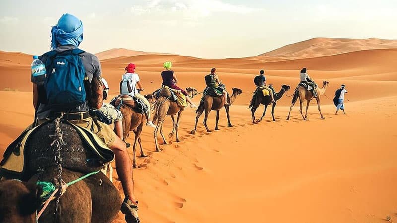 تونس.. أبرز قرارات جلسة العمل الوزارية حول السياحة الصحراوية