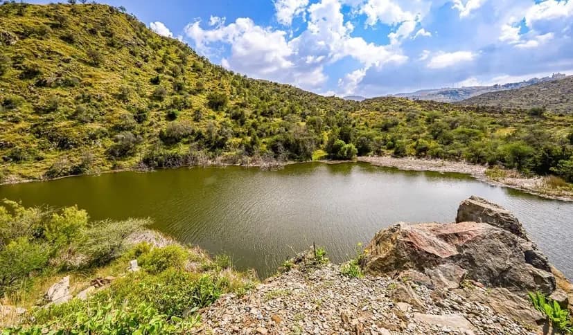 الخضرة وجريان الماء .. يرسمان جمال الطبيعة في وادي ضرك بمنطقة الباحة