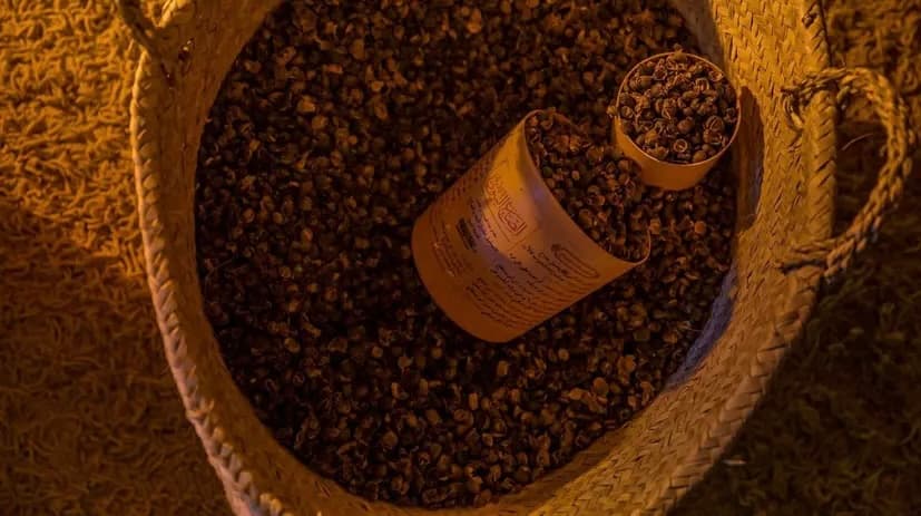 "البُن الشدوي".. مذاق القهوة السعودية بنكهة الطبيعة