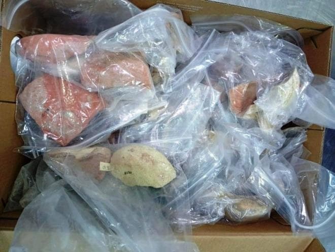 السيادة الثقافية تسترد تاريخها: تونس تسترجع 210 قطع أثرية من كندا لتعزز رصيدها التاريخي وجاذبيتها السياحية العالمية