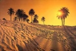 توزر تفتح أبواب الصحراء: رهان الاستدامة، وبنية التمكين، وأفق الطيران الدولي في موسم سياحي متجدد