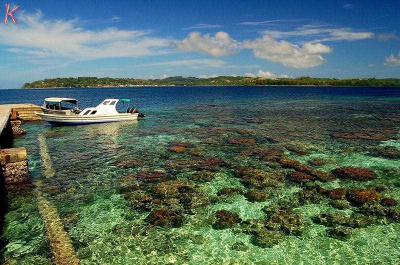 Coral_island جزيرة_ كورال
