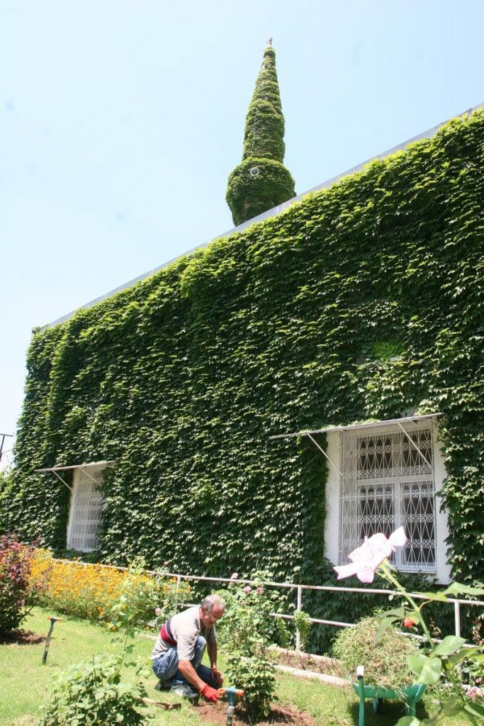المسجد-الاخضر-في-اضنة-683x1024