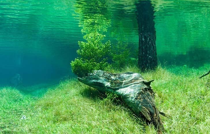 the-green-lake4