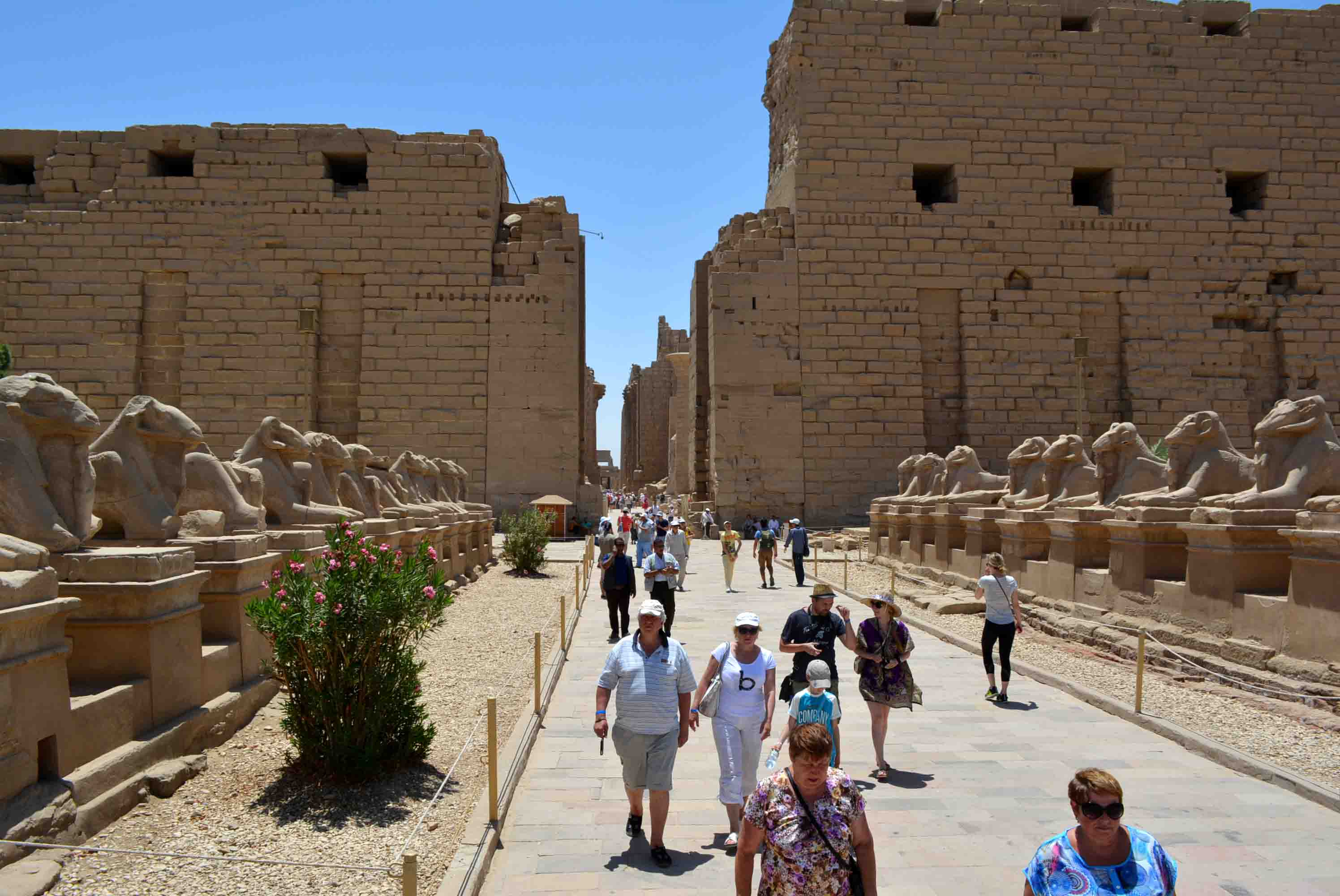 «الأفواج السياحية» تتدفق على الأقصر.. وزيادة في نسبة الإشغالات | مجلة السياحة العربية