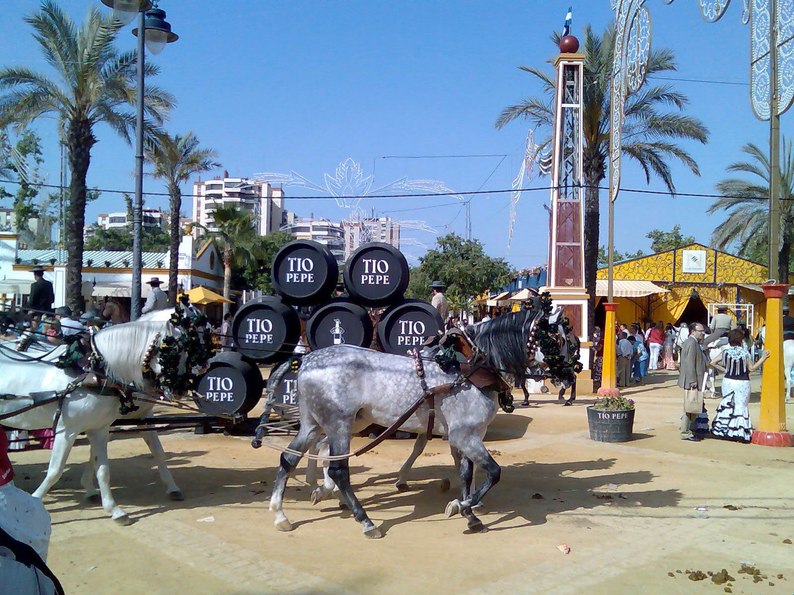 Jerez-de-la-Frontera