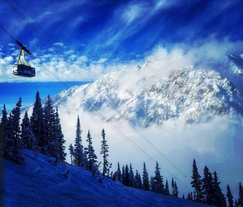 Snowbird-USA