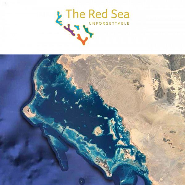 000-568707261501554494627