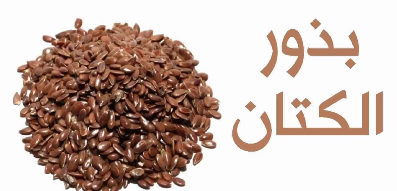 دكتور / أحمد العطار .. يكتب .. بذور الكتان وتكسير الدهون | مجلة السياحة العربية