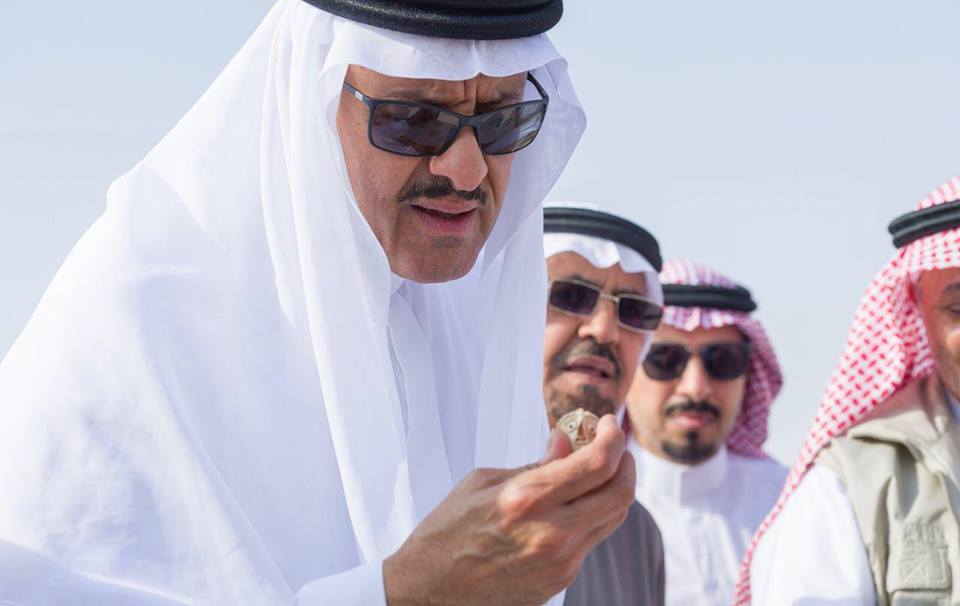 "سلطان بن سلمان" المملكة تستيقظ كل يوم على مكتشفات أثرية فريدة تبهر العالم | مجلة السياحة العربية