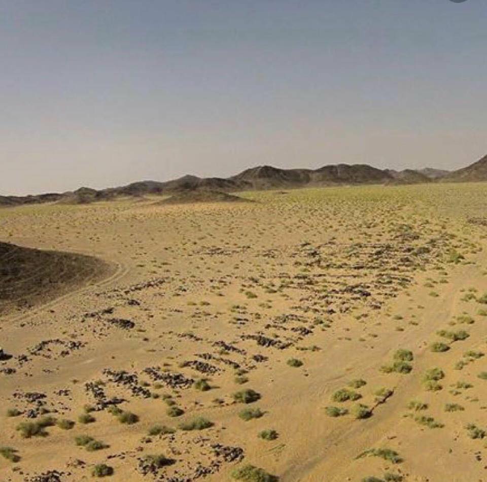 هيئة السياحة تنقب عن الآثار في موقع حليت بالدوادمي | مجلة السياحة العربية