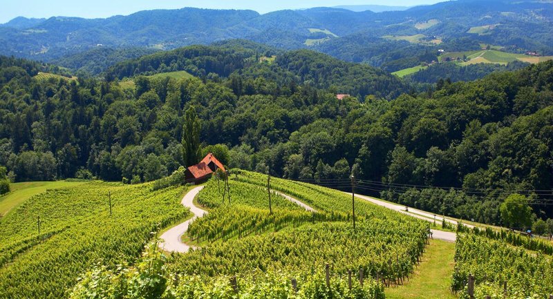 مجلس السياحة السلوفيني يدشن حملة ifeelsLOVEnia الصيفية | مجلة السياحة العربية