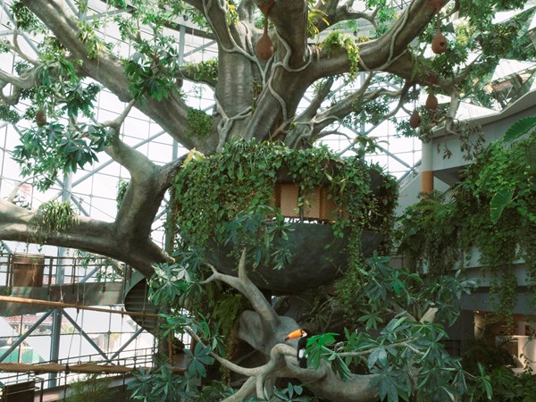 Photo 2_7
