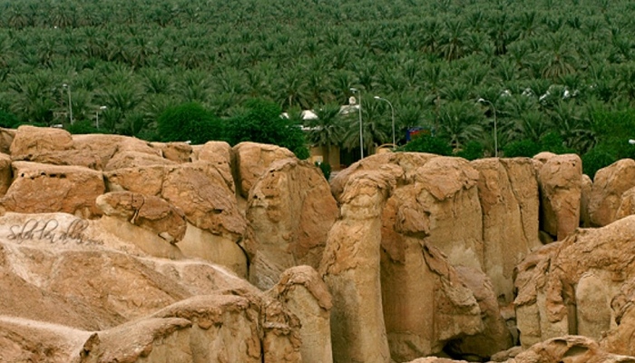 بـ"الصور" الأحساء .. موطن الحضارات القديمة وواحات النخيل الغناء في السعودية | مجلة السياحة العربية