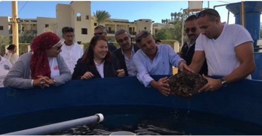 مشروع أمريكي لدعم السياحة المستدامة بالبحر الأحمر | مجلة الساحة العربية