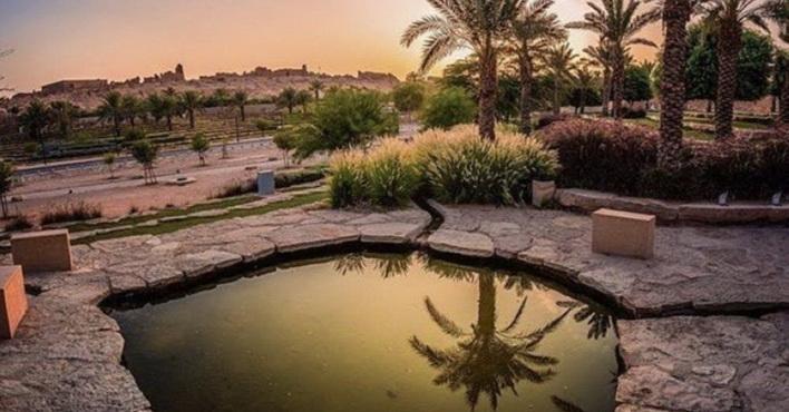 مسؤولون في سياحة الأحساء يشيدون باختيار الأحساء عاصمة السياحة العربية | مجلة السياحة العربية