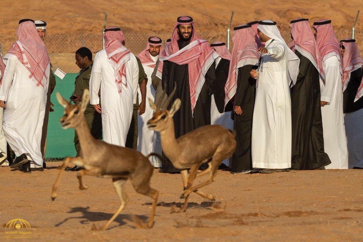 سمو ولي العهد يُطلِق مَحمِيِّة "شرعان" الطبيعية في محافظة العلا | السياحة العربية .. #السياحة_العربية