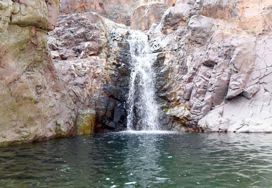 محافظة وادي الفرع بالمدينة المنورة تتوشح باللون الأخضر | مجلة السياحة العربية .. #السياحة_العربية