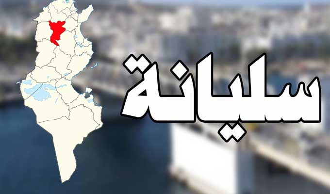 سليانة: من ترابك يولد الجمال والتاريخ من جديد.