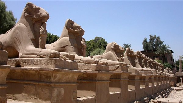 بعد احتفالية طريق الكباش.. الأقصر تشهد ارتفاعا غير مسبوق في معدلات السياحة