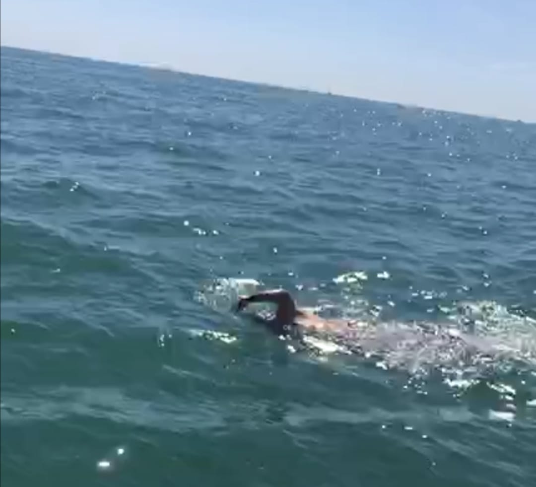 السباح خالد شلبى يواصل السباحة لعبور بحر المانش