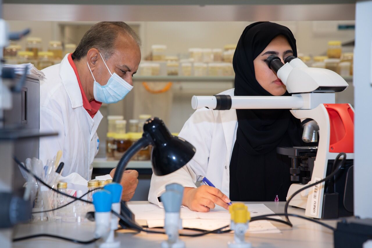 اكتشاف نوع جديد من قشريات المياه العذبة بدولة الإمارات