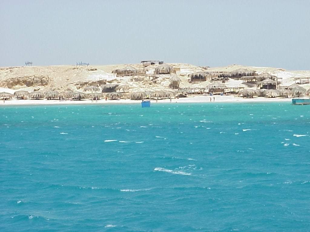 الجفتون اول محمية طبيعية بالبحر الأحمر يسكنها 50% من طيور النورس في العالم