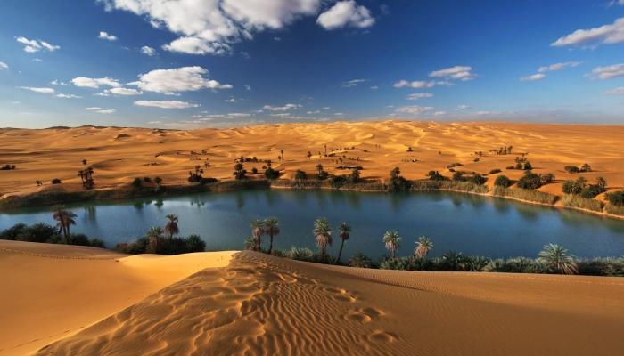 «سياحة النواب» توصى بتشكيل هيئة حكومية مستقلة للسياحة العلاجية