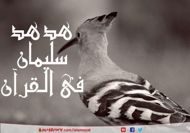 من قصص القران الكريم .. قصة هدهد سليمان وعرش بلقيس