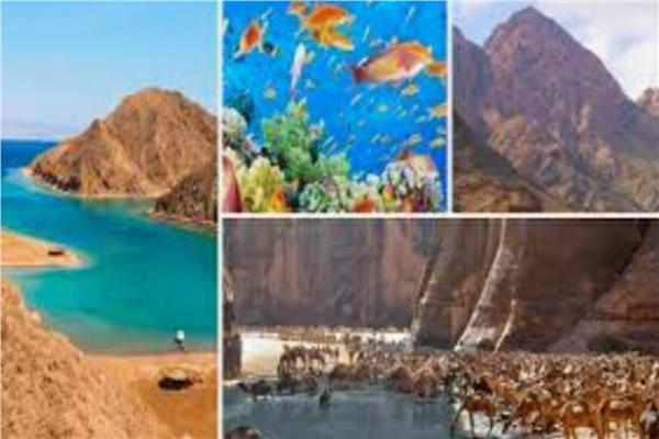 "ياسمين فؤاد" مصر تولي اهتماما كبيرا بالتوسع في السياحة البيئية