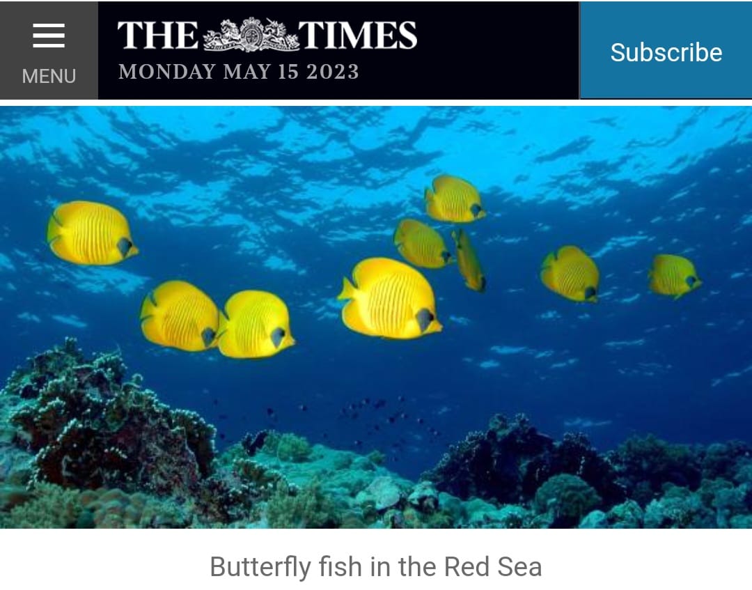 صحيفة The Times تبرز مقومات السياحة والآثار الفريدة بالمقصد المصرى