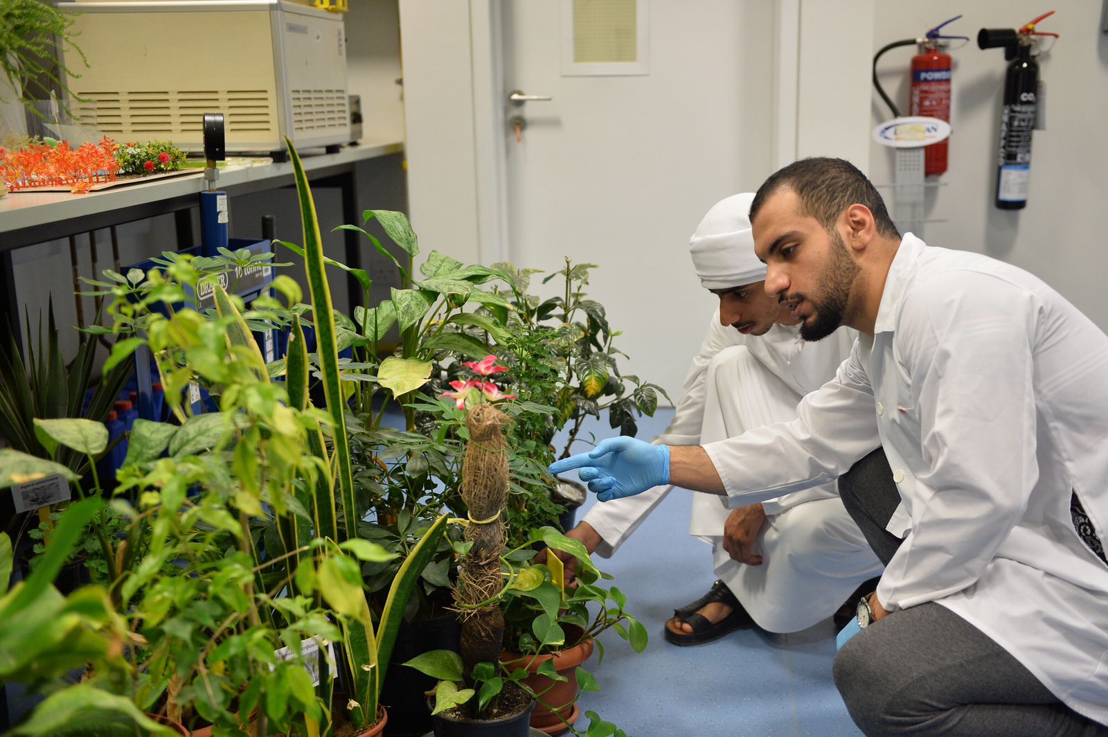 جامعة الإمارات تمول 18 مشروعاً بحثياً ضمن برنامج أبحاث أعضاء هيئة التدريس المواطنين في دورته الأولى 2023