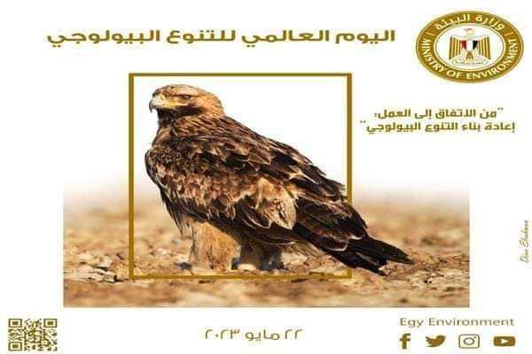محافظ أسوان: إعداد ملف متكامل للفوز بلقب عاصمة السياحة العربية
