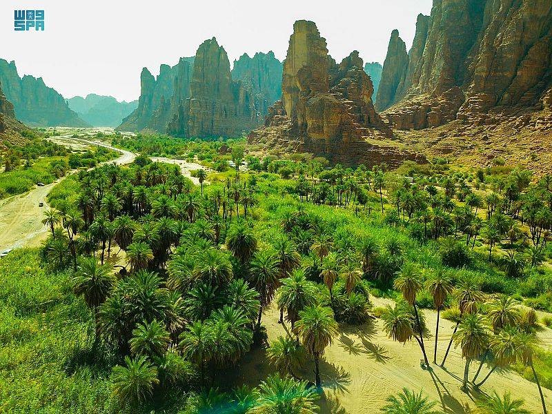 وجهة سياحية جاذبة للزوار.. كل ما تريد معرفته عن «وادي الديسة» في تبوك