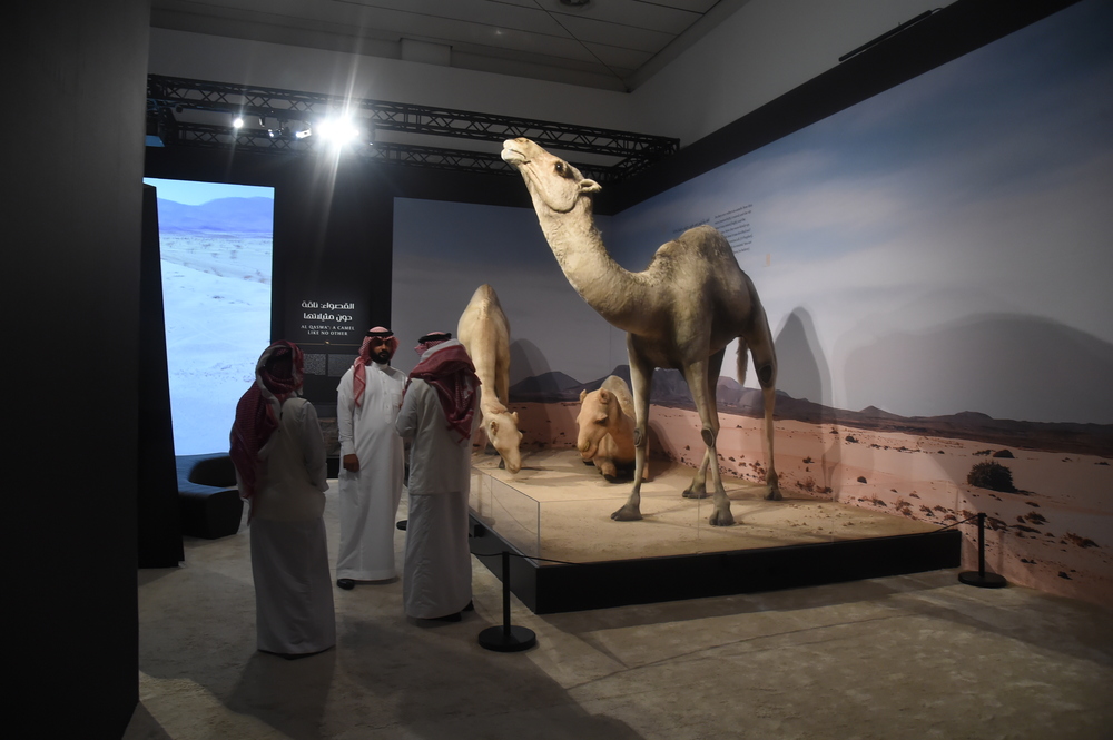 بداية من الأسبوع المقبل.. المتحف الوطني السعودي يفتتح معرض الهجرة على خطى الرسول