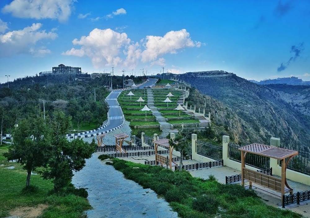 غابة رغدان في الباحة.. أجواء مدهشة وتجارب متنوعة في انتظاركم