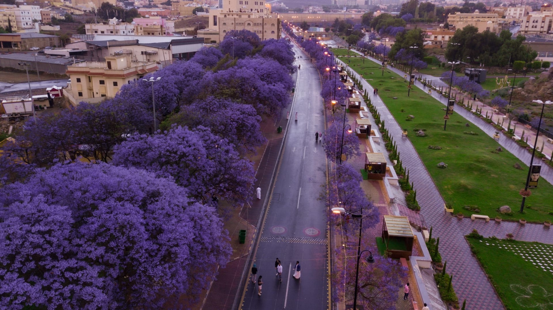 عروس الجبل.. مدينة أبها بالسعودية وجهة رائعة للسياح