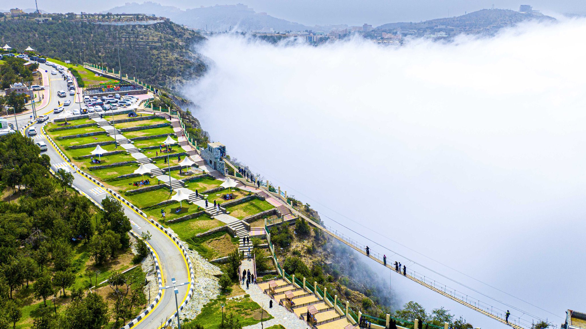 بين السحاب.. استمتع بالأجواء المدهشة بغابة رغدان في الباحة