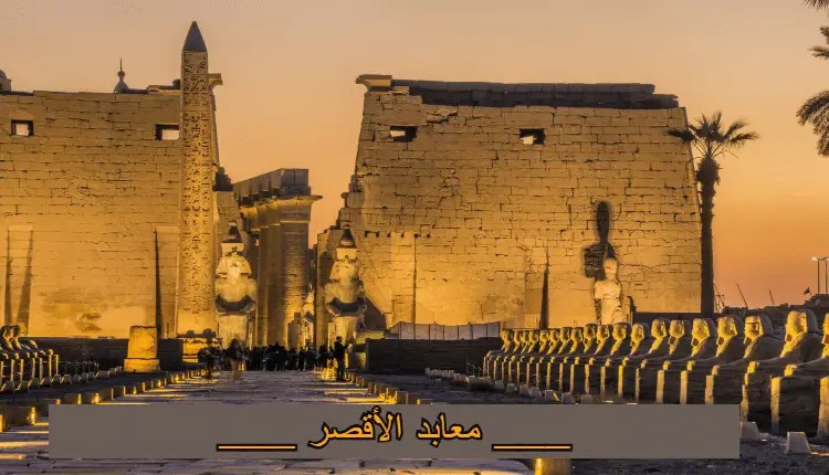 «تسويق السياحة الثقافية» تتوقع موسم شتاء دافئ.. 4 رحلات إضافية تقود التدفقات إلي الأقصر