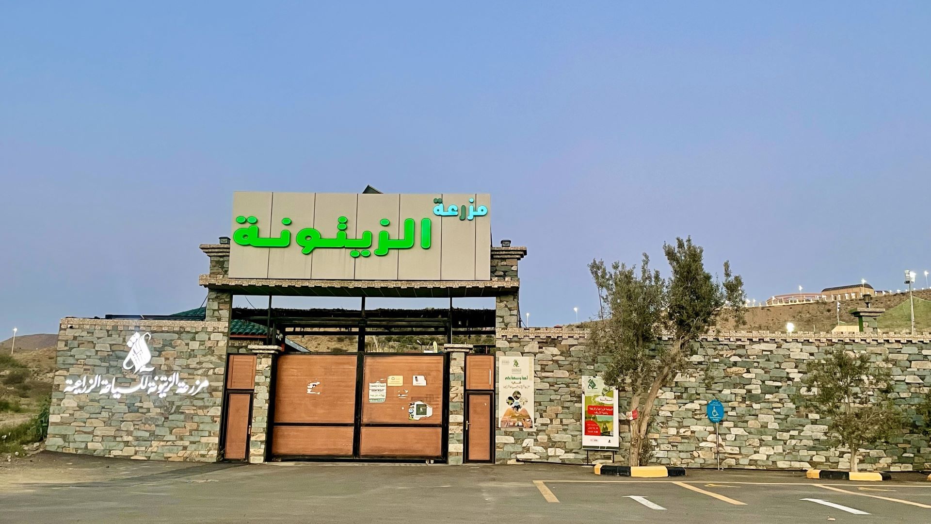 روح السعودية.. مزرعة الزيتونة الوجهة السياحية الزراعية الأولى في المملكة