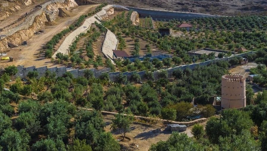 الزيتونة.. أول مزرعة سياحية في الباحة السعودية