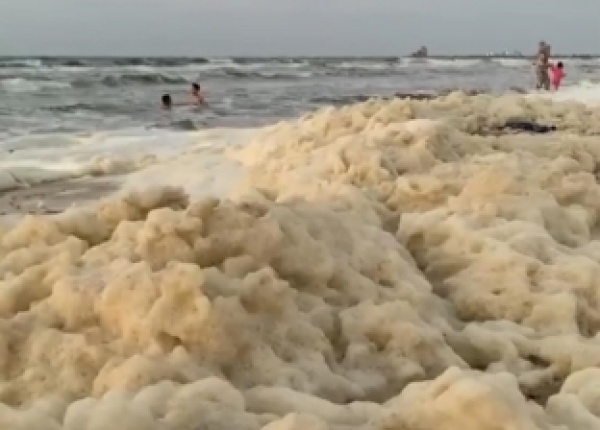 بعد ظهوره على شواطئ بورسعيد.. معلومات عن زبد البحر