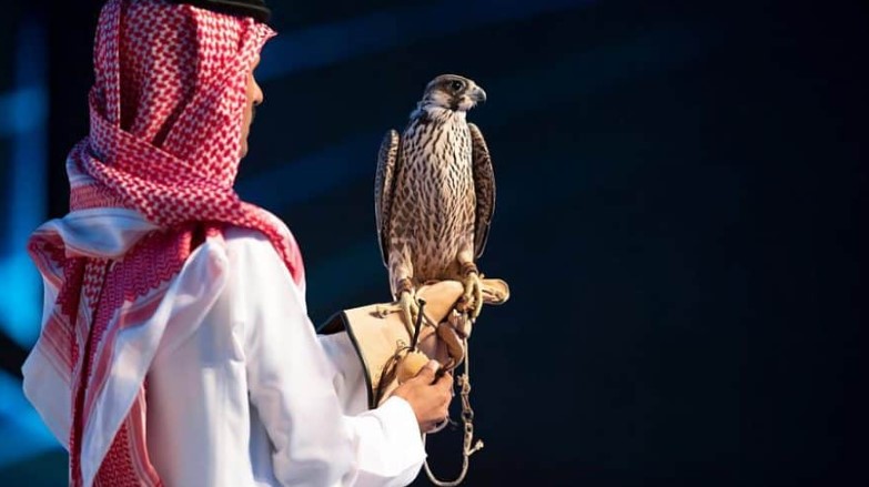 بيع 3 صقور بـ180 ألف ريال في الليلة 14 لمزاد نادي الصقور