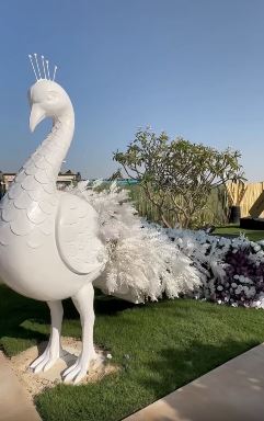 فينسيا.. جولة لـ أسما رؤوف في أجمل المنتجعات بالفيوم (فيديو)